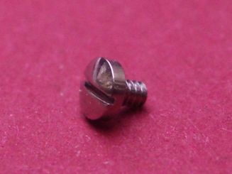 Ebel Lünetten-Schraube Stahl,  Kopf-Ø ca. 2,2mm 