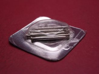 Cartier Bandschraube, Stahl, Ø 1,79mm, Länge 16,74mm, für Tank Francaise MM, techn. Ref. 2301, 1 Schraube, VC280728 