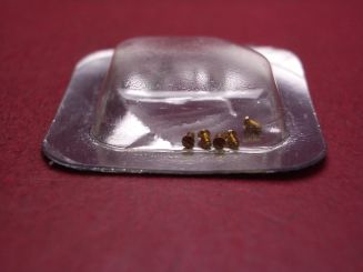 1 Cartier Bodenschraube, Gelbgold, Ø 1,3mm, Länge 1,9mm, für Panthère 1925 & Ronde LC GM, techn. Ref. 2309 & 0900, 1 Schraube, VC050013 