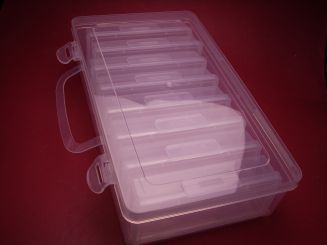 Aufbewahrungs-, /Transport- / oder Sortierbox aus Kunststoff, 22,3cm x 12,2cm x 5,2cm, mit Henkel und 8 innenliegenden Boxen 10,5cm x 4,5cm x 2,5cm 