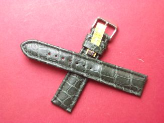 Louisiana Krokodil-Leder-Armband, 20mm im Verlauf auf 18mm Farbe: Grün Schließe weiß