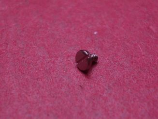 Ebel Lünetten-Schraube, Stahl, Ø 2,2mm, Länge 2,15mm, für Ref. 9955Q41/447 