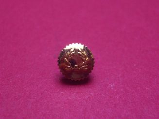 Krone, Stahl, goldfarben, glänzend, Ø 5,97mm, Gesamthöhe 4,56mm, Gewinde 1,1mm 