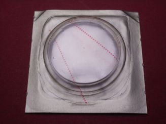 Omega Glas ,Plexi, armiert, für Ref.: 168019 