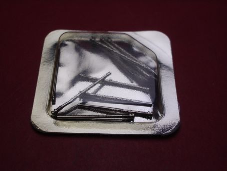 Panerai Bandschraube, für Luminor Marine 40mm, 1 Schraube, MX000MRP 