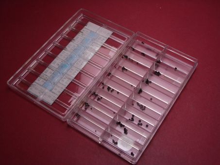 Set mit O-Dichtungen in verschiedenen Größen 