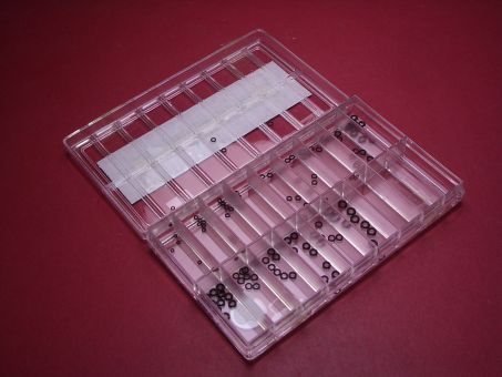 Set mit O-Dichtungen in verschiedenen Größen 