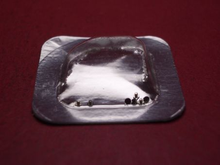 1 Cartier Schraube, Stahl, für Panthère 1920 & Tank Francaise PM, tech. Ref. 2309, 2323, 1820, 2300, 2364, 2365, 2445 & 2433, VA200018 