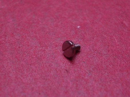 Ebel Lünetten-Schraube, Stahl, Ø 2,2mm, Länge 2,15mm, für Ref. 9955Q41/447 